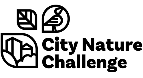 City Nature Challenge