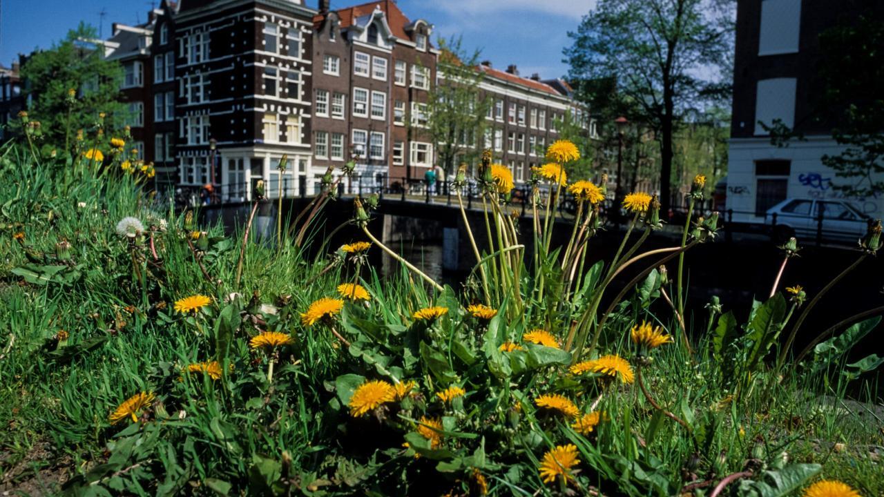 Leiden doet mee aan de nationale bodemdierendag en de stedenbattle!