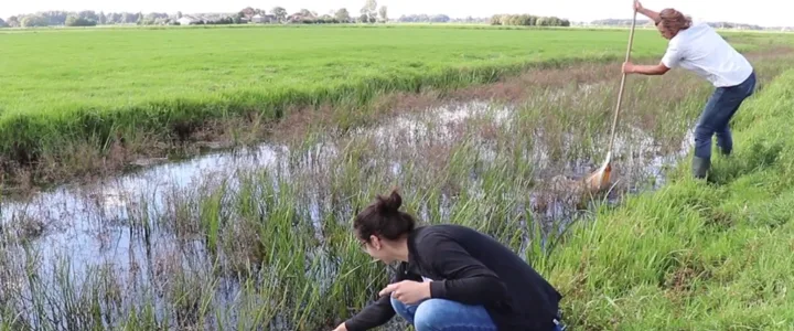 Polderlab Vrouw Venne: grond voor jouw onderzoek?