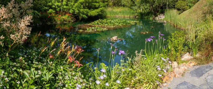 BIONEERS: Samen strategieën ontwikkelen voor een natuur-positieve wereld