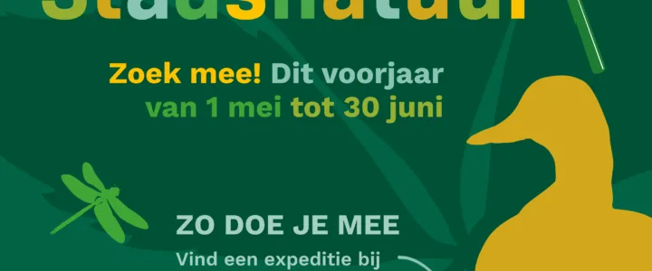3.939 soorten gevonden tijdens Expeditie Stadsnatuur