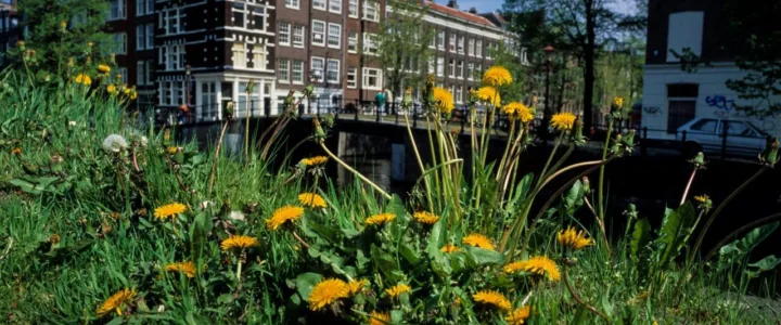 Leiden doet mee aan de nationale bodemdierendag en de stedenbattle!