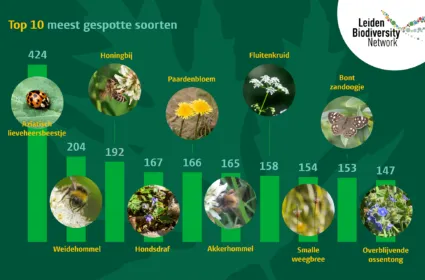 Sleutelstad reportage