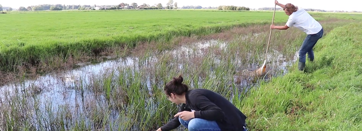 Polderlab Vrouw Venne: grond voor jouw onderzoek?