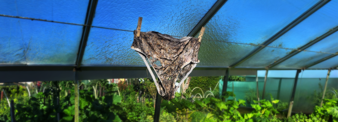 Wat vertelt een onderbroek over je moestuin?