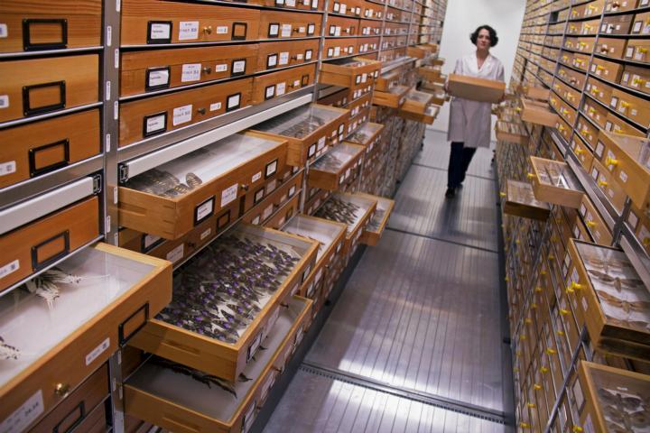 Wereldberoemde Collecties